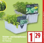 EDEKA Zühlsdorf - Kräuter- und Salatpflanzen Angebot im Prospekt Kräuter- und Salatpflanzen bei EDEKA im Zühlsdorf Prospekt für 1,29 €