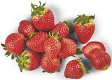 Aktuelles Erdbeeren Angebot bei combi in Oldenburg