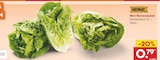 Mini-Romanasalat bei Netto Marken-Discount im Arnstedt Prospekt für 0,79 €