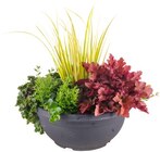 Herbstfeuermix im Angebot bei Penny-Markt in Frankfurt Herbstfeuermix Angebote bei Penny-Markt Frankfurt für 5,55 €