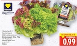 EDEKA Grünheide (Mark) Prospekt mit  im Angebot für 0,99 €