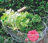 Panier en grillage simple torsion - LaMaison.fr à Le Havre Panier en grillage simple torsion en promo chez LaMaison.fr Le Havre à 27,95 €