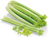 Staudensellerie im Angebot bei REWE in Flensburg Staudensellerie Angebote bei REWE Flensburg für 1,19 €