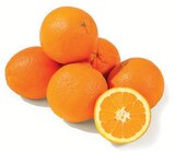 Orangen im Netto mit dem Scottie Prospekt Orangen im aktuellen Netto mit dem Scottie Prospekt für 4,59 €