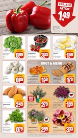 Blumen im REWE Prospekt in Hennef Aktueller REWE Prospekt mit Blumen, "Dein Markt", Seite 9