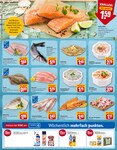Fisch Fisch