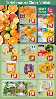 Lebensmittel im aktuellen REWE Prospekt (Mannheim) Lebensmittel im REWE Prospekt "Dein Markt" mit 18 Seiten (Mannheim)