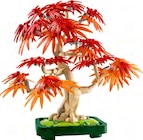 Japanischer Roter Ahorn – Bonsai-Baum von LEGO im aktuellen Lidl Prospekt für 38,99 €