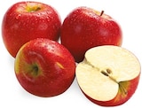 Rote Tafeläpfel im Angebot bei REWE in Halle Rote Tafeläpfel Angebote bei REWE Halle für 1,99 €