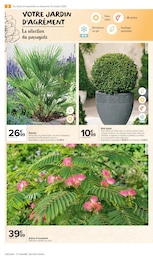 Offre Arbre dans le catalogue Carrefour Market du moment à la page 4