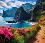 Portugal - Madeira Reise von Penny Reisen für 666,00 € bei Penny im Angebot Portugal - Madeira Reise von Penny Reisen im aktuellen Penny Prospekt