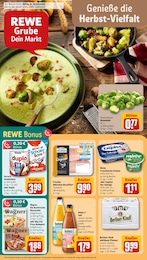 REWE Prospekt für Potsdam mit 36 Seiten REWE Prospekt für Potsdam: "Dein Markt", 36 Seiten, 20.10.2025 - 25.10.2025