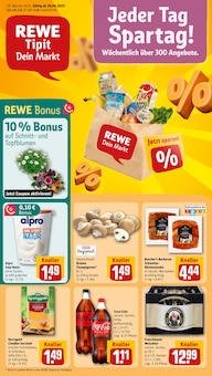 Aktueller REWE Prospekt