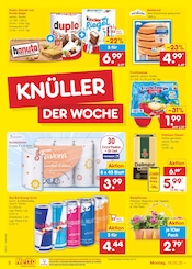 Balkonpflanzen im Netto Marken-Discount Prospekt in Remscheid Aktueller Netto Marken-Discount Prospekt mit Balkonpflanzen, "Aktuelle Angebote", Seite 2
