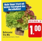 Ballensalat Trio-Mix Angebote bei EDEKA Kaufbeuren für 1,00 €