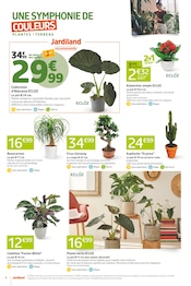 Promos Kalanchoë dans le catalogue "LES 12J QUI SECOUENT VOTRE RENTRÉE !" de Jardiland à la page 4
