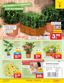 Blumen im Netto Marken-Discount Prospekt "Aktuelle Angebote" mit 58 Seiten (Hamburg)