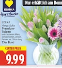 Premium-Tulpen von EDEKA Herzstücke im aktuellen E center Prospekt