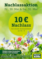 Aktueller Pflanzen Kölle Garten & Pflanzen Prospekt in Heimsheim und Umgebung, "Nachlassaktion" mit 1 Seite, 30.05.2025 - 31.05.2025