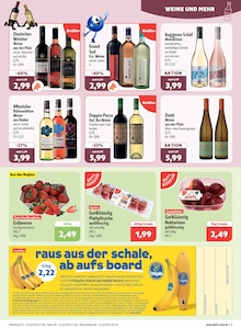 Erdbeeren im aktiv & irma Prospekt "Top Angebote" mit 16 Seiten (Oldenburg)