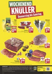 Tulpen im E center Prospekt in Hof Aktueller E center Prospekt mit Tulpen, "Wir lieben Lebensmittel!", Seite 28