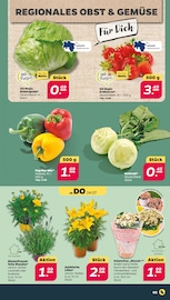 Blumen im Netto mit dem Scottie Prospekt in Eberswalde Aktueller Netto mit dem Scottie Prospekt mit Blumen, "Günstig. Besser. Für Dich.", Seite 3