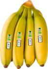 Bananen Angebote von EDEKA Bio bei EDEKA Hamburg für 1,89 €