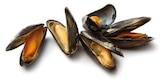 Miesmuscheln im Angebot bei E center in Münster Miesmuscheln Angebote bei E center Münster für 3,99 €