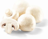 Champignons weiß im Angebot bei Netto Marken-Discount in Siegen Champignons weiß Angebote bei Netto Marken-Discount Siegen für 1,79 €