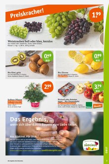 Obststräucher im tegut Prospekt "tegut… gute Lebensmittel" mit 24 Seiten (Frankfurt (Main))