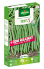 Gamm vert Moissac - Promo Haricot vert sans fil Oxinel 2 Vilmorin Promo Haricot vert sans fil Oxinel 2 Vilmorin à 9,99 € dans le catalogue Gamm vert à Moissac