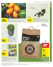 Offre Plantation dans le catalogue Carrefour du moment à la page 57