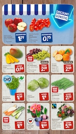 Aktueller nahkauf Prospekt mit Blumentopf, "nichts liegt näher", Seite 3