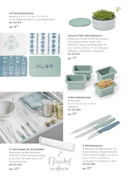 Tchibo im Supermarkt Blumentopf im Prospekt 