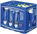 Ileburger Mineralwasser Angebote von Sachsen Quelle bei REWE Chemnitz für 4,79 €