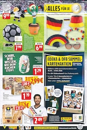 Kaktus Angebot im aktuellen E center Prospekt auf Seite 13