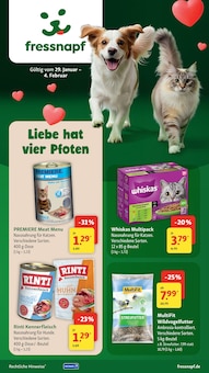 Katzenfutter im Fressnapf Prospekt "Liebe hat vier Pfoten" mit 25 Seiten (Dresden)