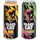 Energy Drink Angebote von Black Cat bei Netto Marken-Discount Dessau-Roßlau für 0,59 €
