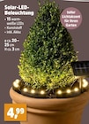 Solar-LED-Beleuchtung im Angebot bei Thomas Philipps in Augsburg Solar-LED-Beleuchtung Angebote bei Thomas Philipps Augsburg für 4,99 €