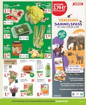 Aktueller Marktkauf Prospekt mit Salat, "Aktuelle Angebote", Seite 3