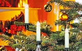 Hellweg Iserlohn - LED-Baumkerzen-Set Angebot im Prospekt LED-Baumkerzen-Set bei Hellweg im Iserlohn Prospekt für 29,99 €
