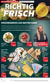 Antipasti im Kaufland Prospekt in Duisburg Aktueller Kaufland Prospekt mit Antipasti, "KNÜLLER", Seite 22