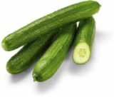 Gurken im aktuellen Netto Marken-Discount Prospekt für 0,44 €