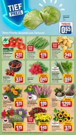 Tomaten im REWE Prospekt in Moers Aktueller REWE Prospekt mit Tomaten, "Dein Markt", Seite 7