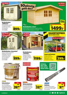 Farbe im aktuellen Hagebaumarkt Prospekt (Kiel) Farbe im Hagebaumarkt Prospekt "Raus in den Garten? SO günstig geht das!" mit 16 Seiten (Kiel)