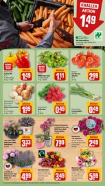 Paprika im REWE Prospekt in Niederkassel Aktueller REWE Prospekt mit Paprika, "Dein Markt", Seite 9