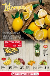 Beeren Angebote im Prospekt "cash & carry" von Selgros Beeren Angebote im Prospekt "cash & carry" von Selgros auf Seite 3