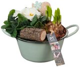 Frühjahrsschale 'Spring' im Angebot bei REWE in Erlangen Frühjahrsschale 'Spring' Angebote bei REWE Erlangen für 9,99 €