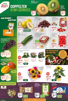 Erdbeeren im aktuellen GLOBUS Prospekt (Bochum) Erdbeeren im GLOBUS Prospekt "Aktuelle Angebote" mit 31 Seiten (Bochum)