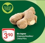 Bio Ingwer Angebote bei GLOBUS Leipzig für 3,90 €